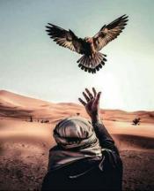 byabdullah