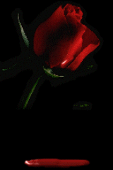 Sahra