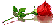 :gul2: